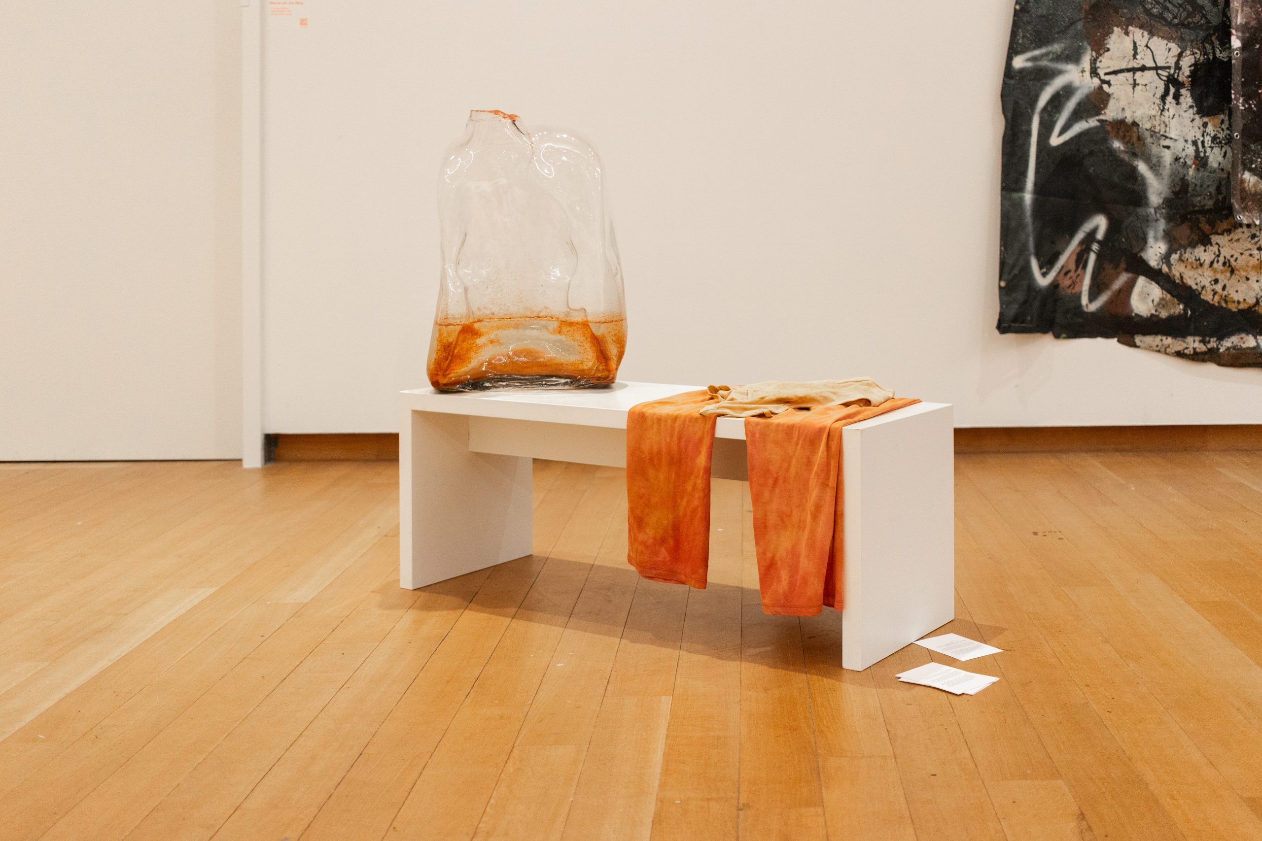 Mirre Yayla Séur: Process during Manifestation #8 To Be Determined