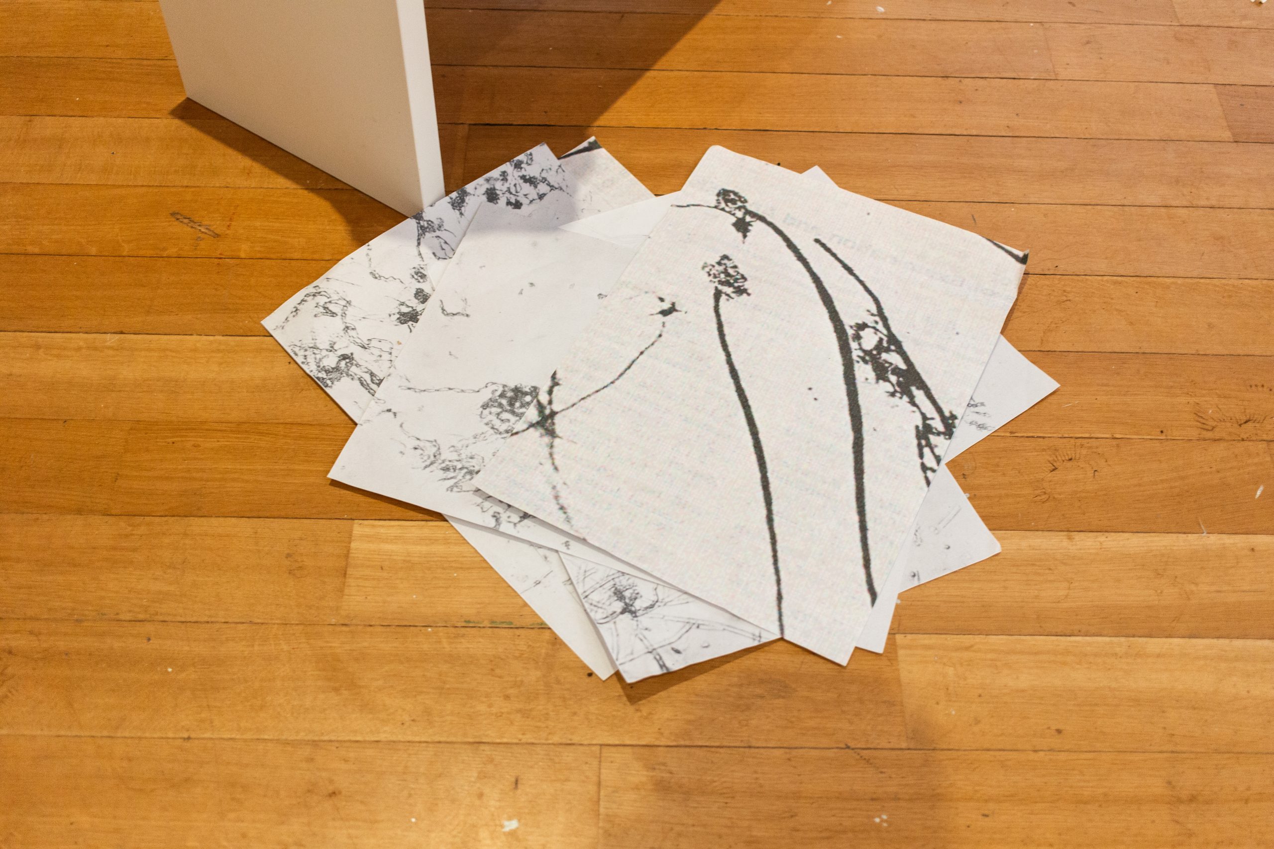 Mirre Yayla Séur: Process during Manifestation #8 To Be Determined