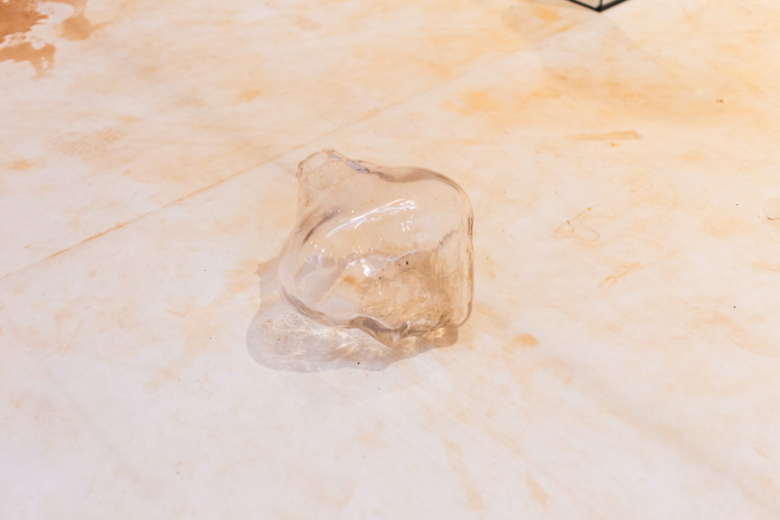 Mirre Yayla Séur: Process during Manifestation #8 To Be Determined