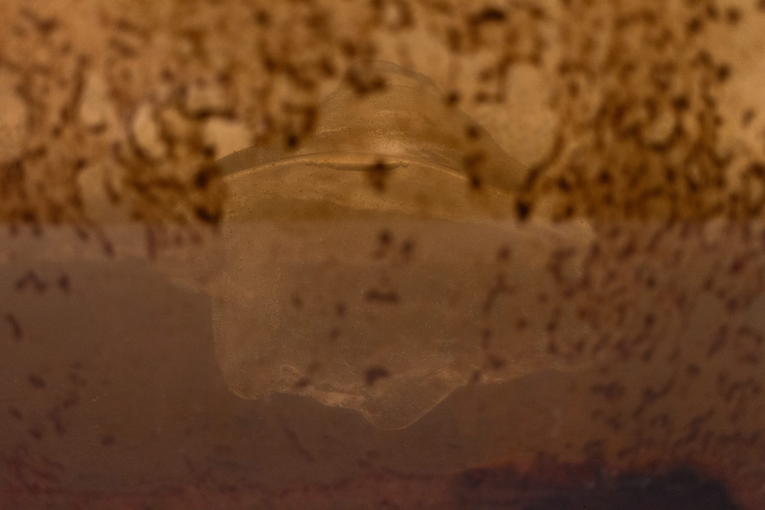 Mirre Yayla Séur: Process during Manifestation #8 To Be Determined