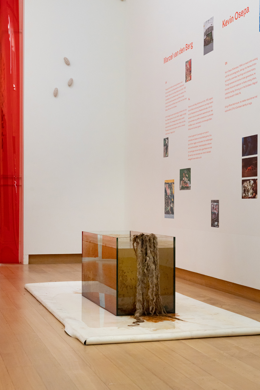 Mirre Yayla Séur: Process during Manifestation #8 To Be Determined