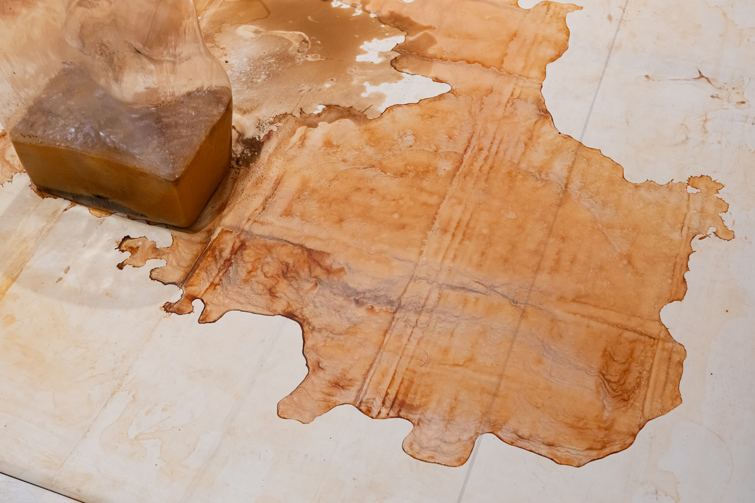 Mirre Yayla Séur: Process during Manifestation #8 To Be Determined