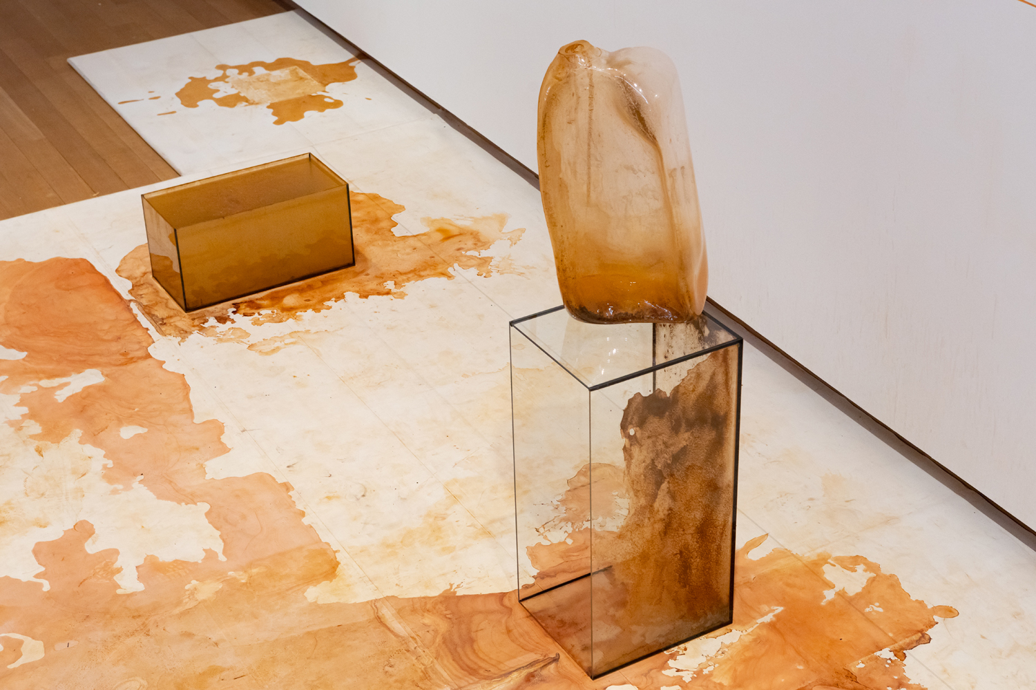 Mirre Yayla Séur: Process during Manifestation #8 To Be Determined