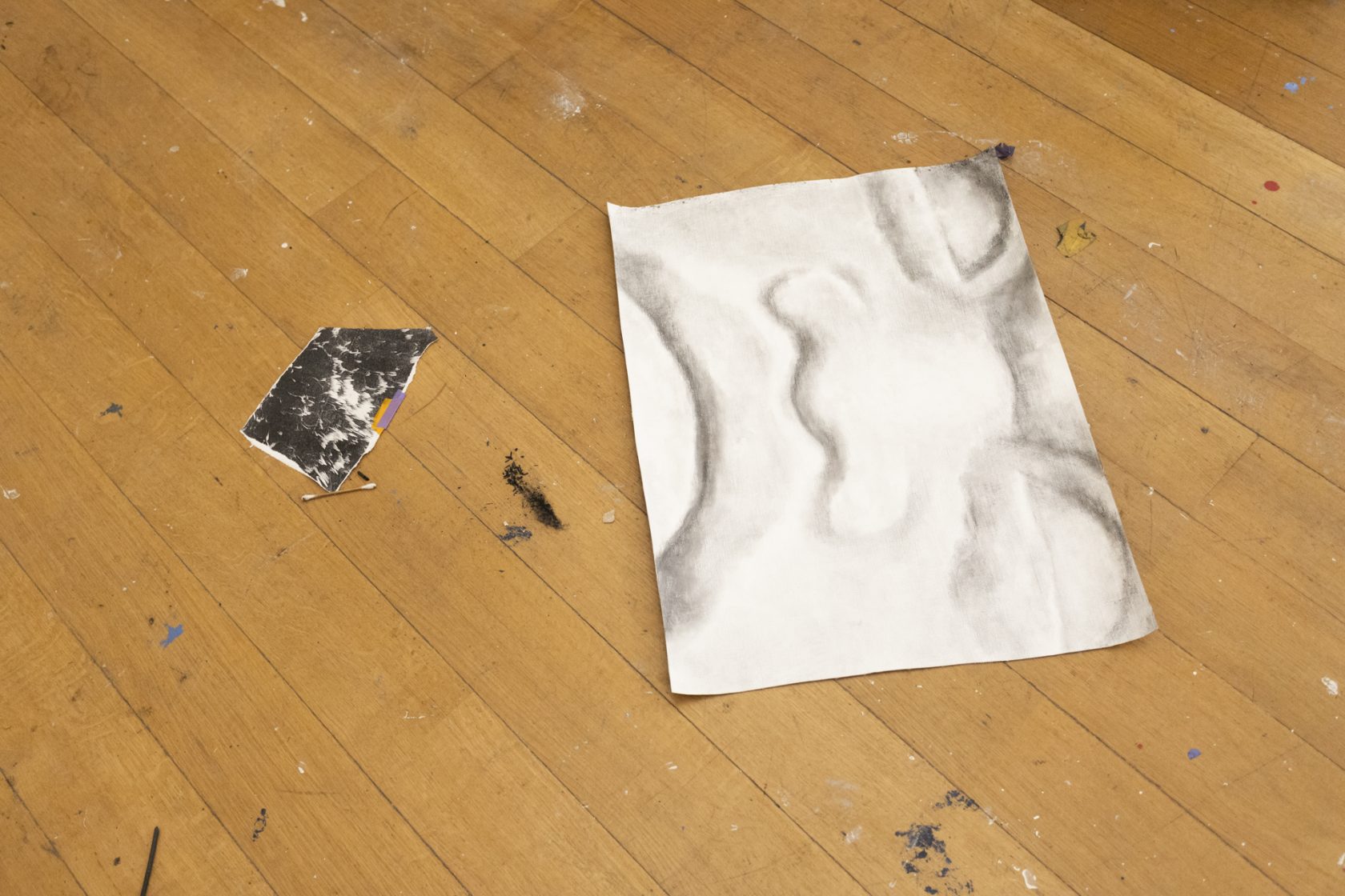 Dion Rosina: Process during Manifestation #52: To Be Determined